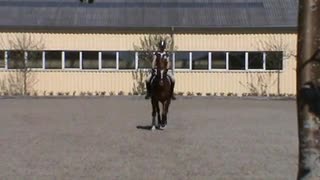 Video Player